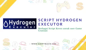 Script Hydrogen Executor